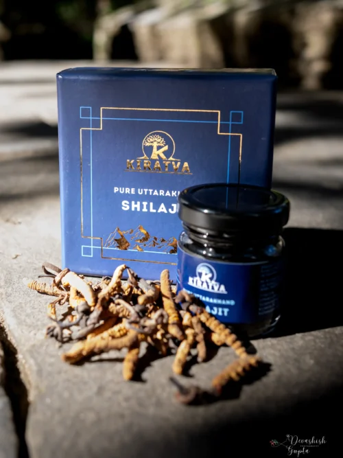 Buy Premium Cordyceps Sinensis Broken Pieces